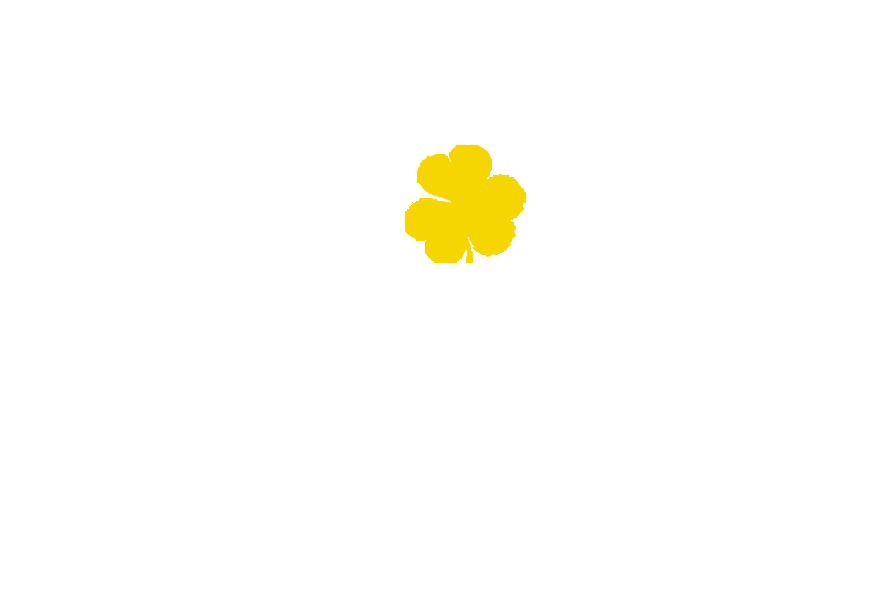 Irish Tours For You